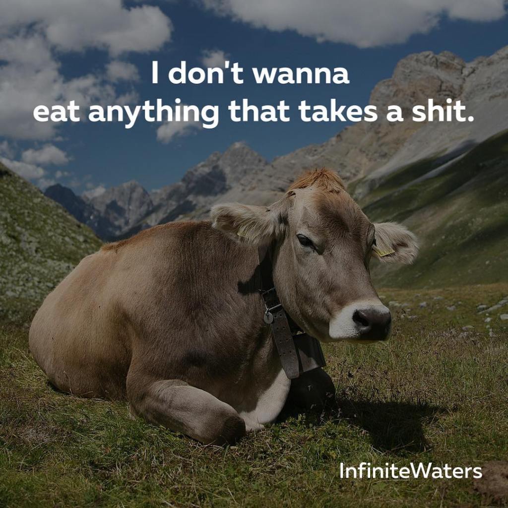 eat_no_shit